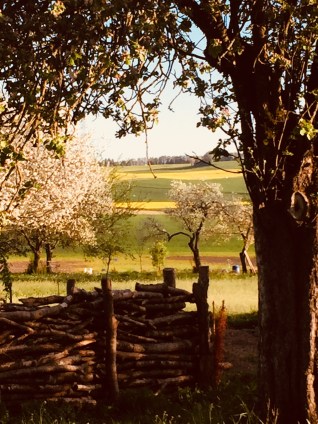 79A3B32A-1094-4BC6-90B6-D41F0196031A